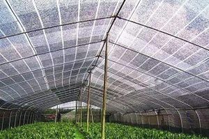 shade net
