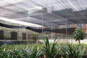 shade net