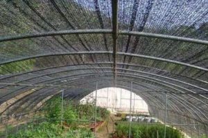 shade net