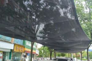 shade net