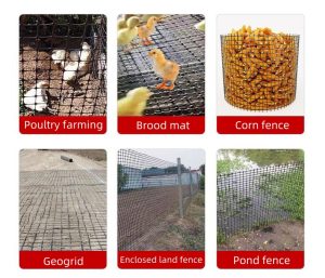 Multifunctional plastic net
