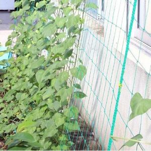 Trellis netting