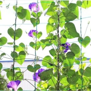 Trellis netting