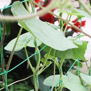 Trellis netting