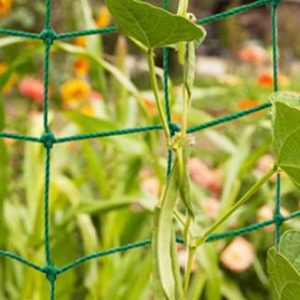Trellis netting