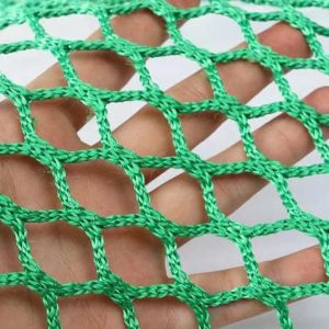 sport net