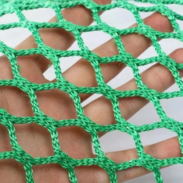 sport net