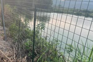 Plastic-covered wire mesh