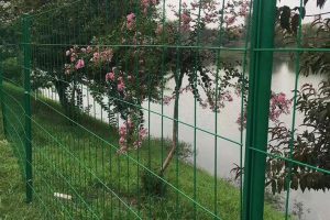 Plastic-covered wire mesh