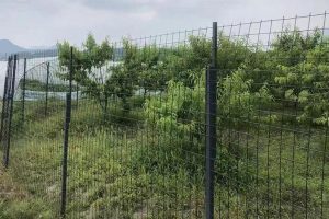 Plastic-covered wire mesh