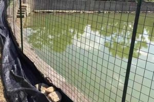 Plastic-covered wire mesh