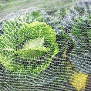 insect netting