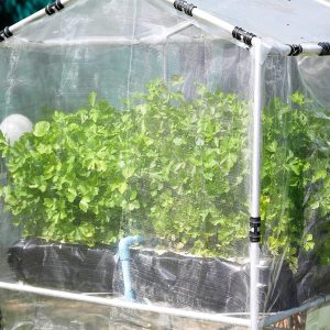 insect netting