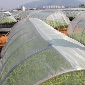 insect netting