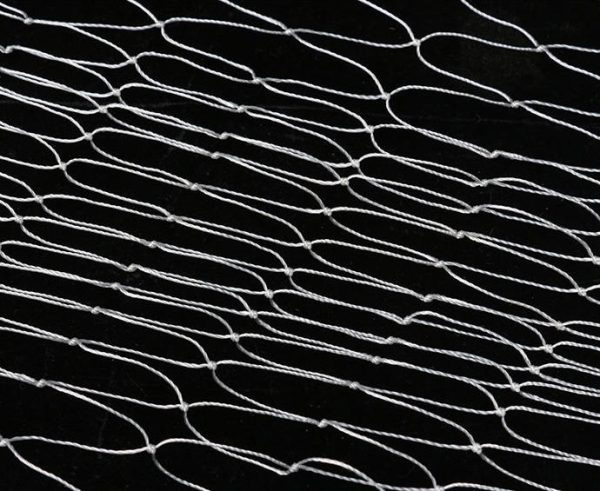 bird netting