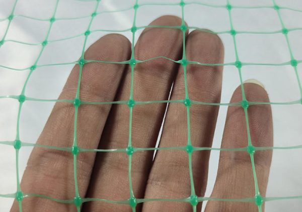 bird netting