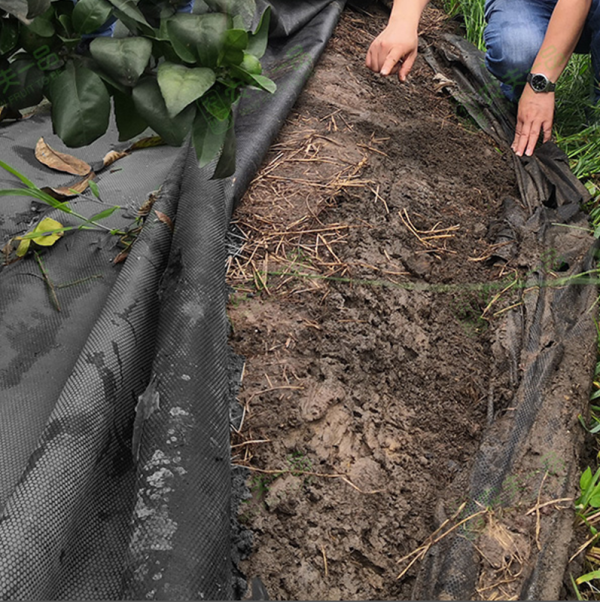 PLA Degradable Nonwoven Ground Cover - 图片 2