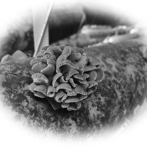 Mushroom specific black and white functional greenhouse film