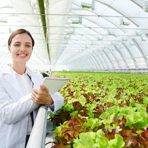 PE Long-Lived Greenhouse Film