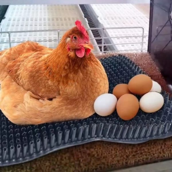 Egg laying box Artificial Plastic grass mat - 图片 2