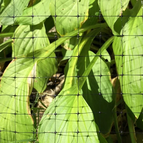 bird netting