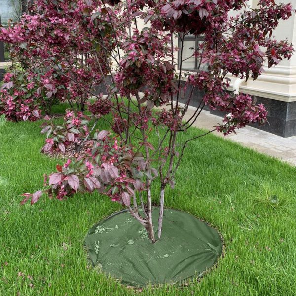 PLA Round Degradable Nonwoven Ground Cover - 图片 4