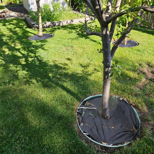 PLA Round Degradable Nonwoven Ground Cover - 图片 5